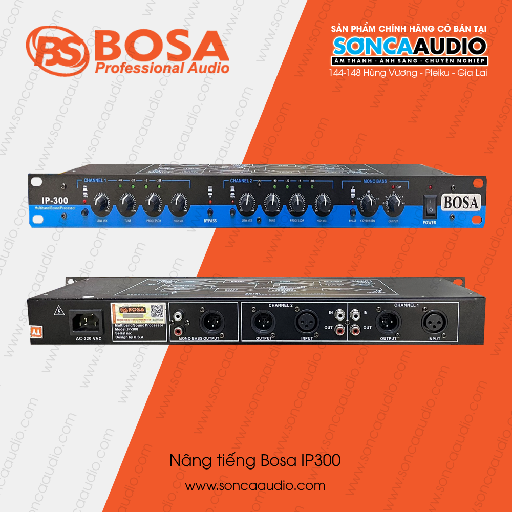 Nâng tiếng Bosa IP300